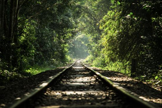 Lawachara National Park